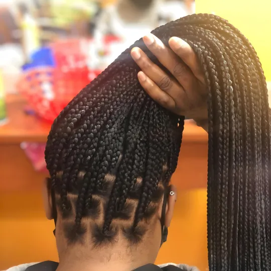 Close-up of a client's neatly braided box braids held up in a high ponytail.