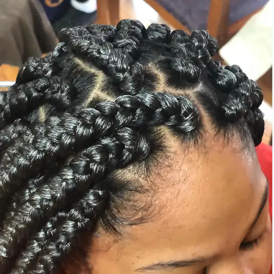 Close-up of a client's scalp with freshly done box braids, showcasing neat parting and tight braids.